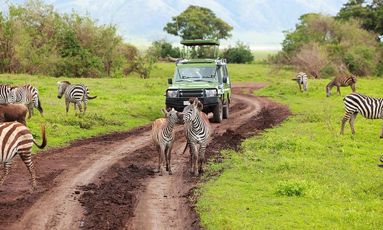 Arusha National Park Adventure