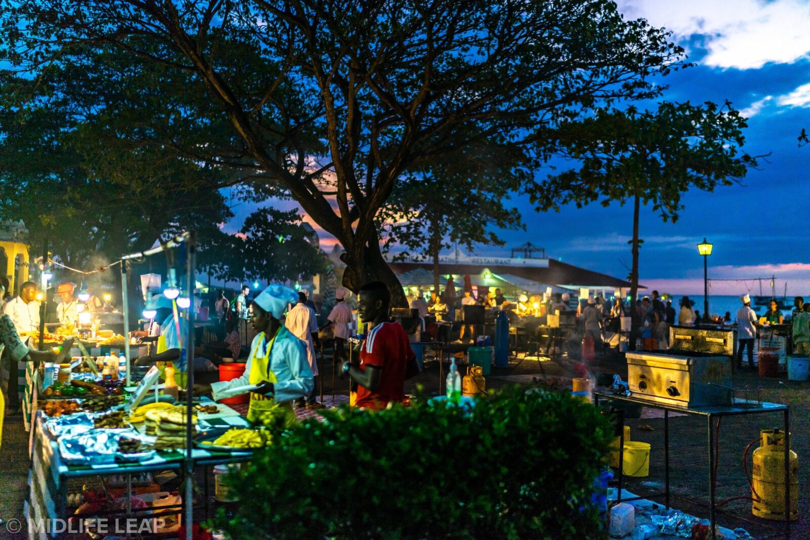 Forodhani Night Market 02