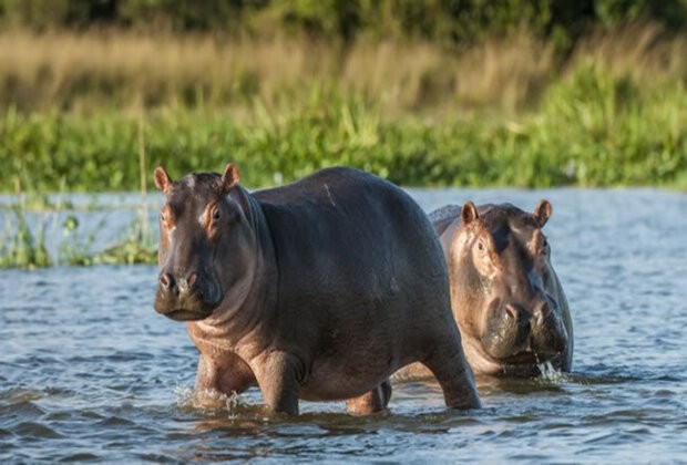 Katavi National Park 01