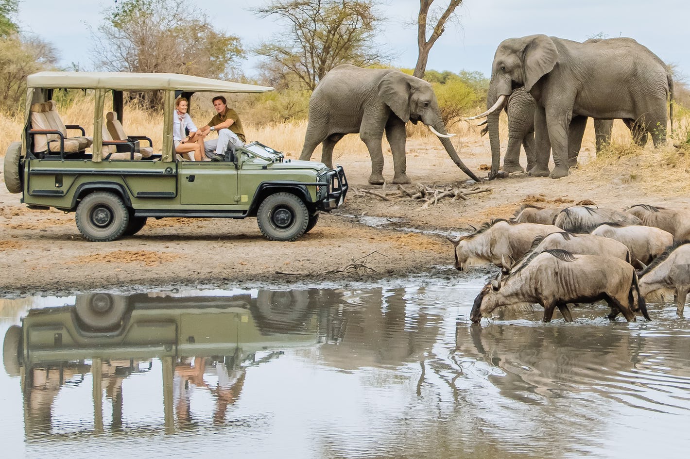 Lake Manyara Nature Safari