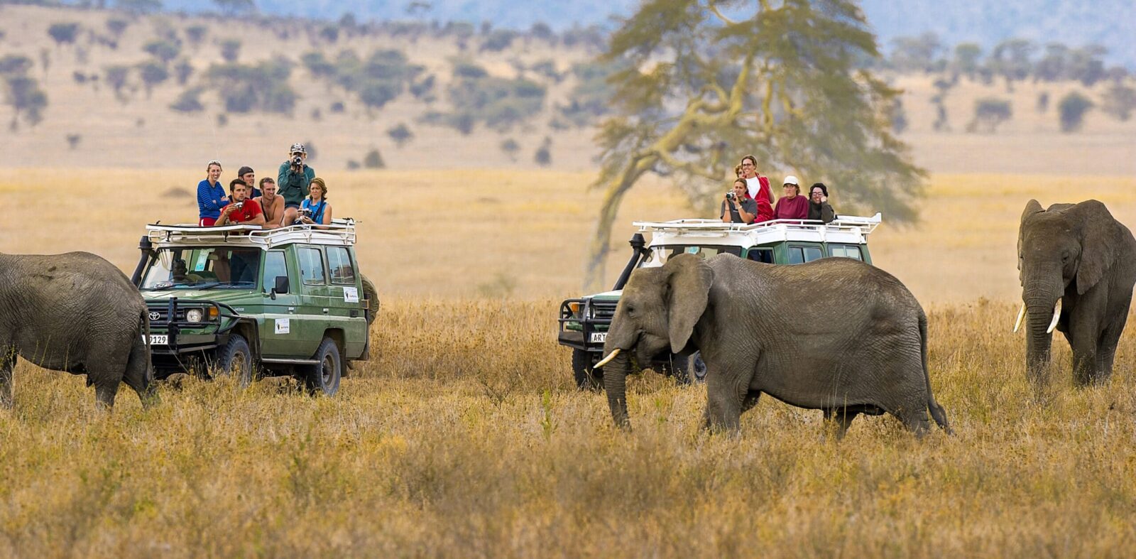 Ngorongoro Crater 01