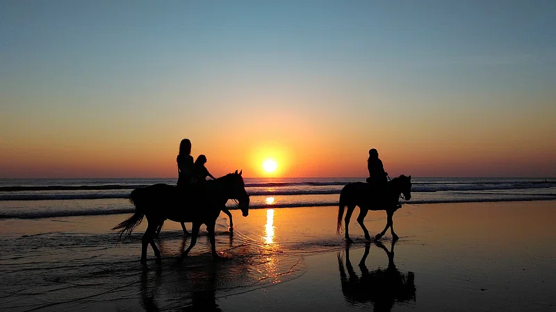 Nungwi Beach Horse Riding 04