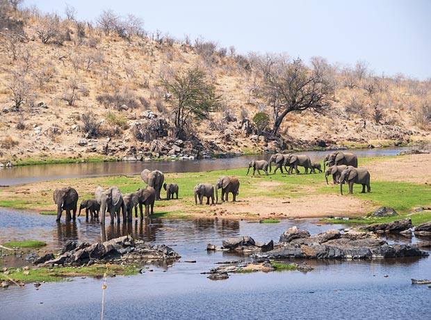 Ruaha National Park 02