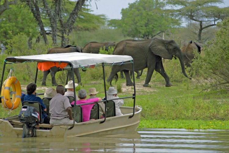 Selous Game Reserve 01