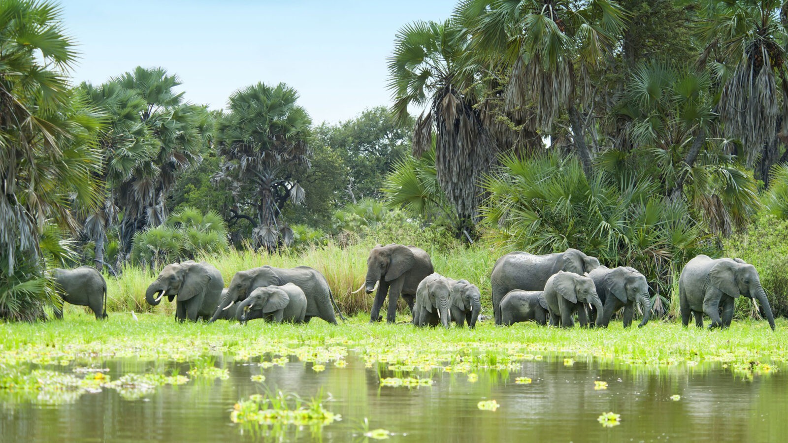 Selous Game Reserve 04