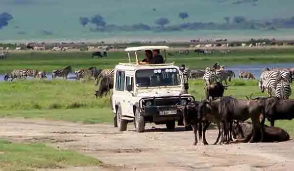 Serengeti Expedition Safari 03