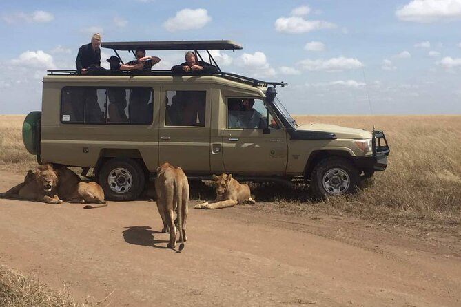 Serengeti National Park Safari