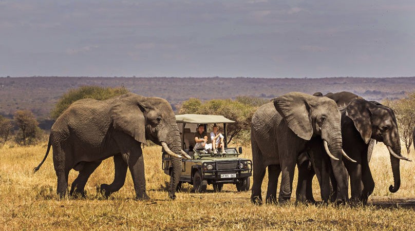 Tarangire National Park Adventure