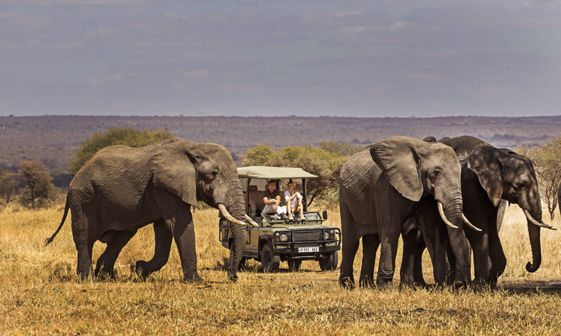 Tarangire Park 04